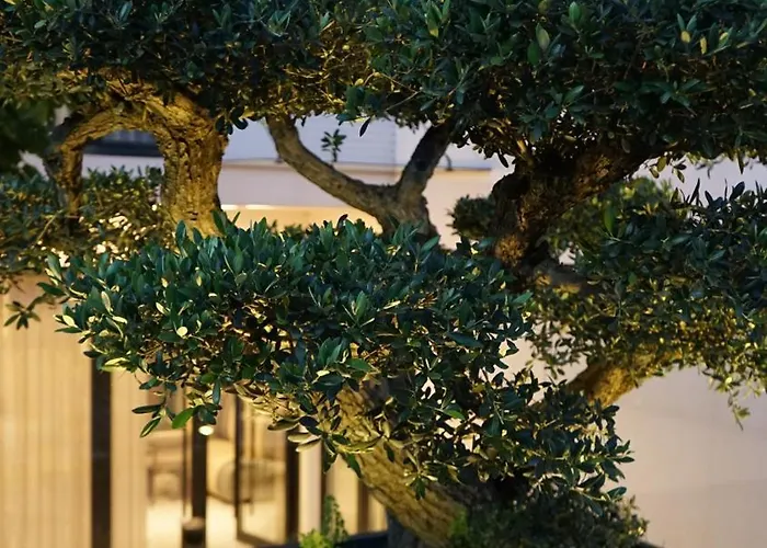 Arbnor Boutique 4* Tirana